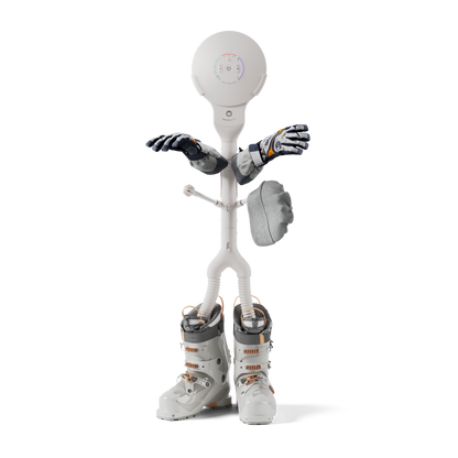 Family White T2
